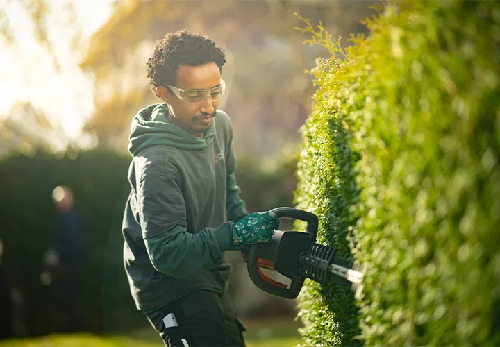 Junger Mann schneidet eine Hecke.