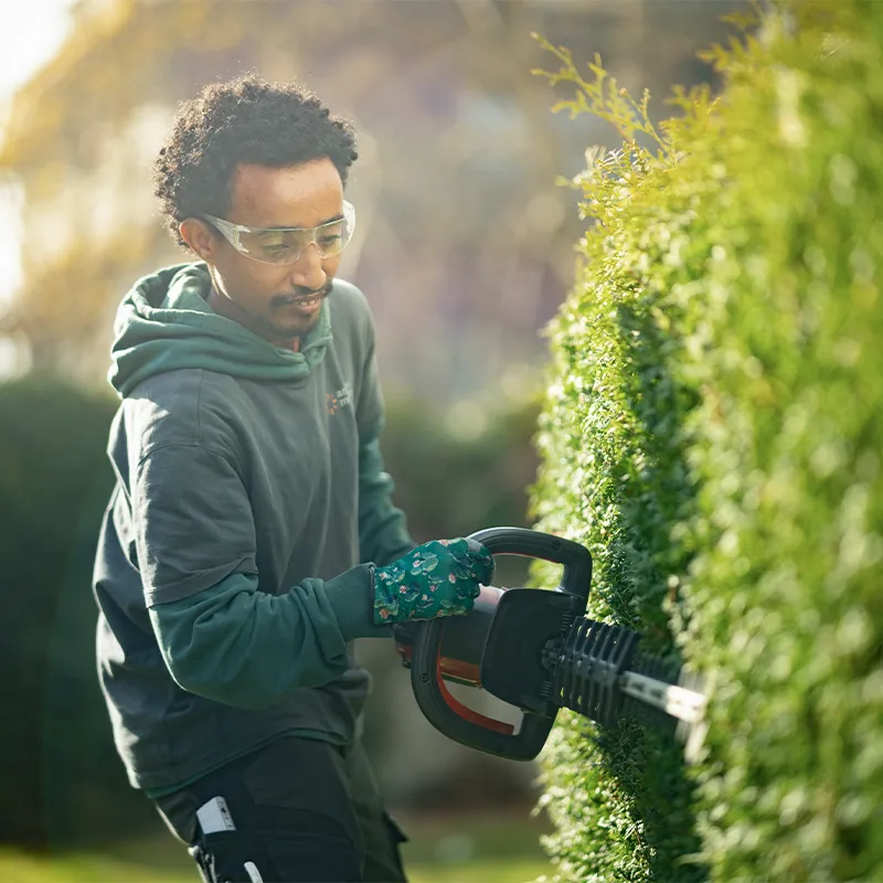 Junger Mann schneidet die Hecke